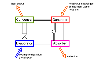 Le processus d'absorption